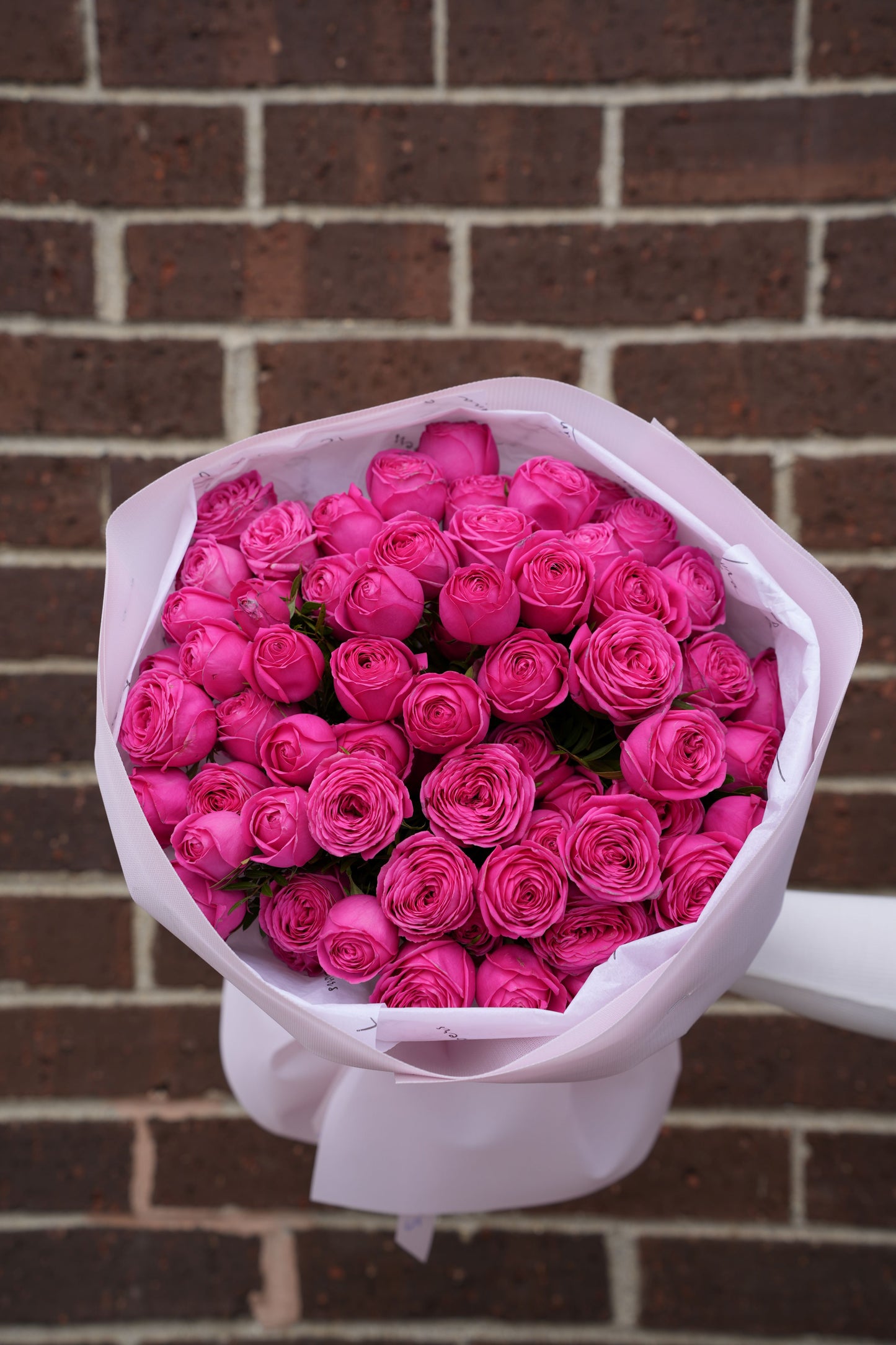 Peony Giselle Spray Garden Roses