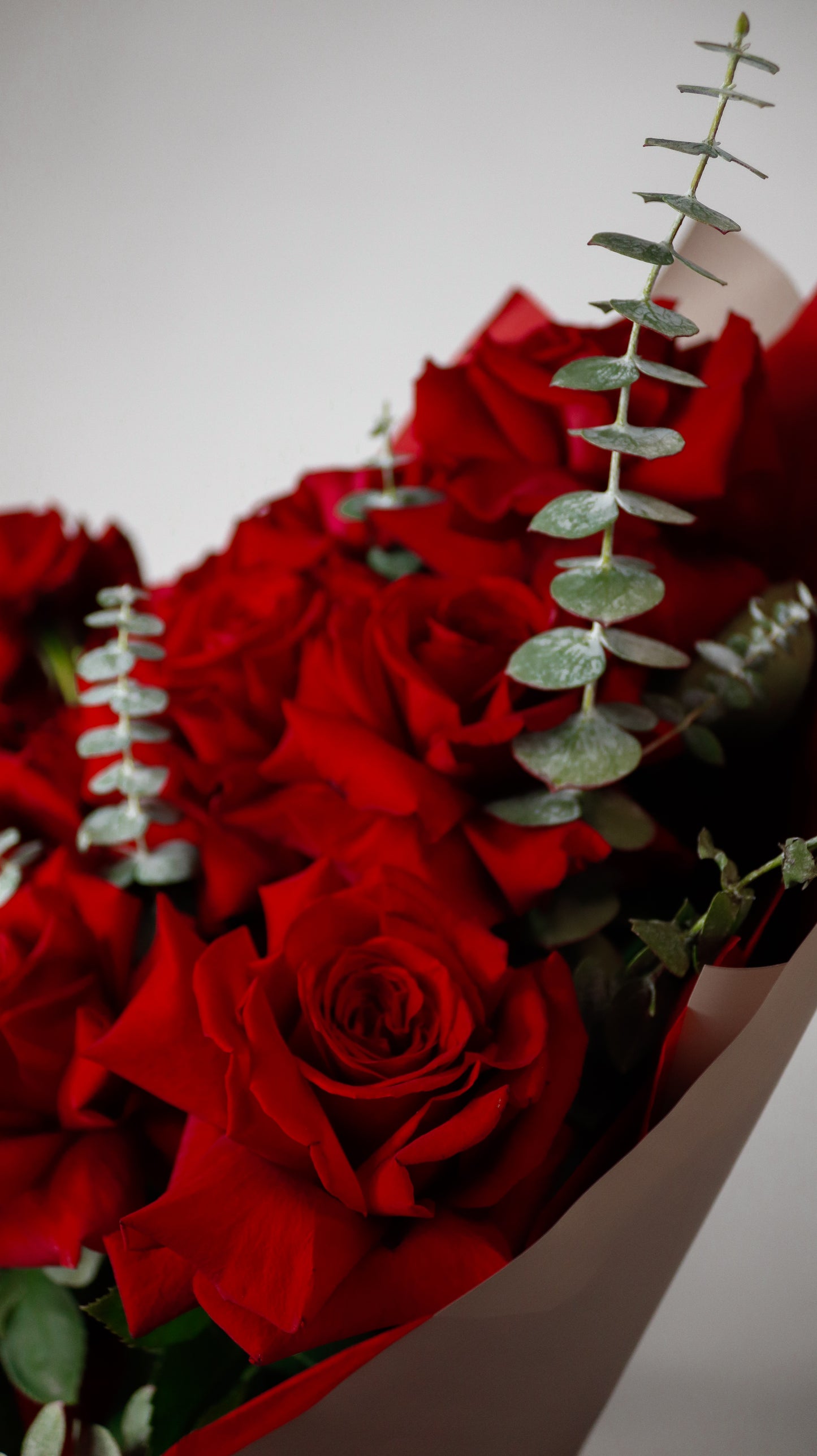 From France With Love