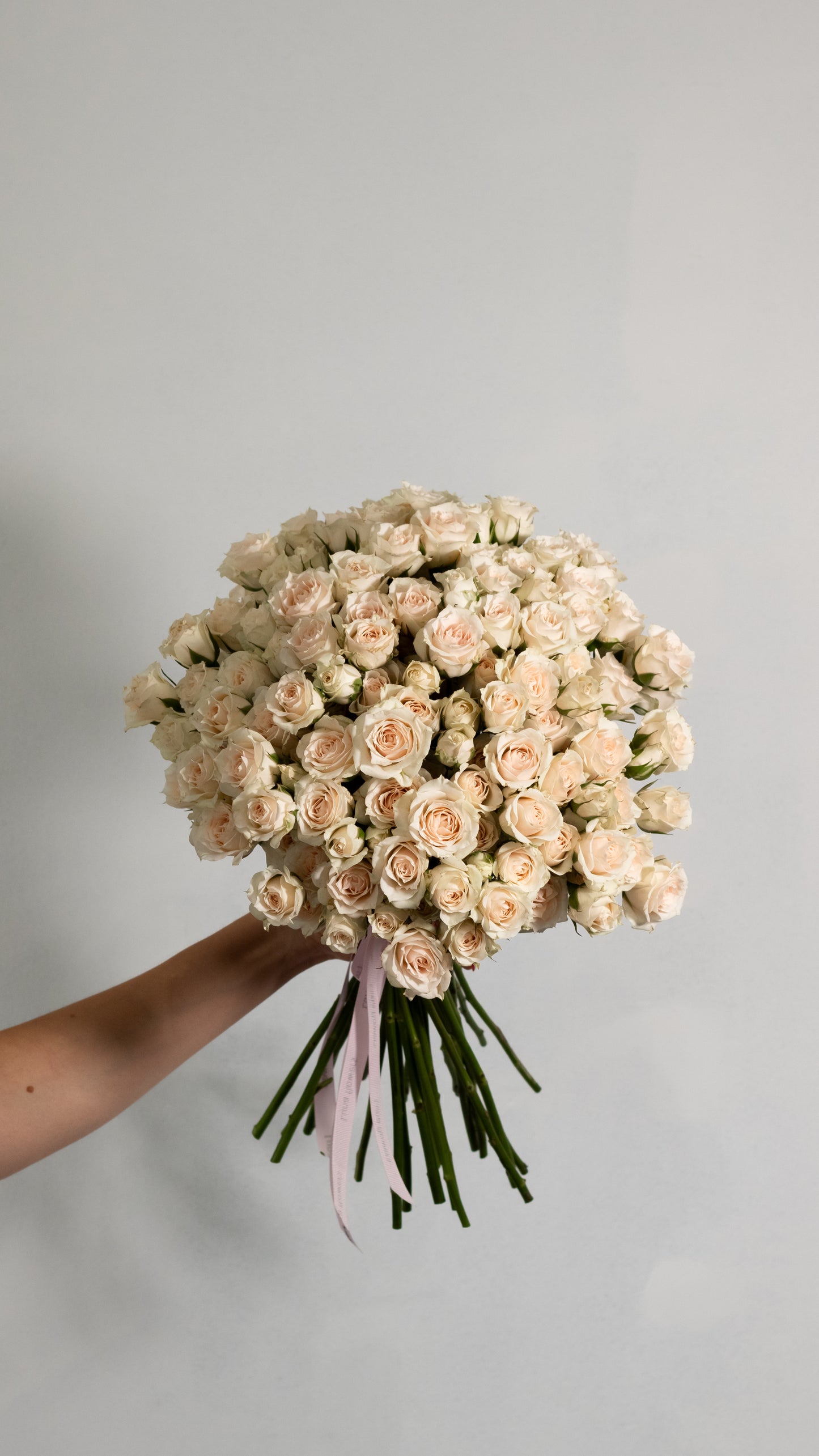 Spray Roses