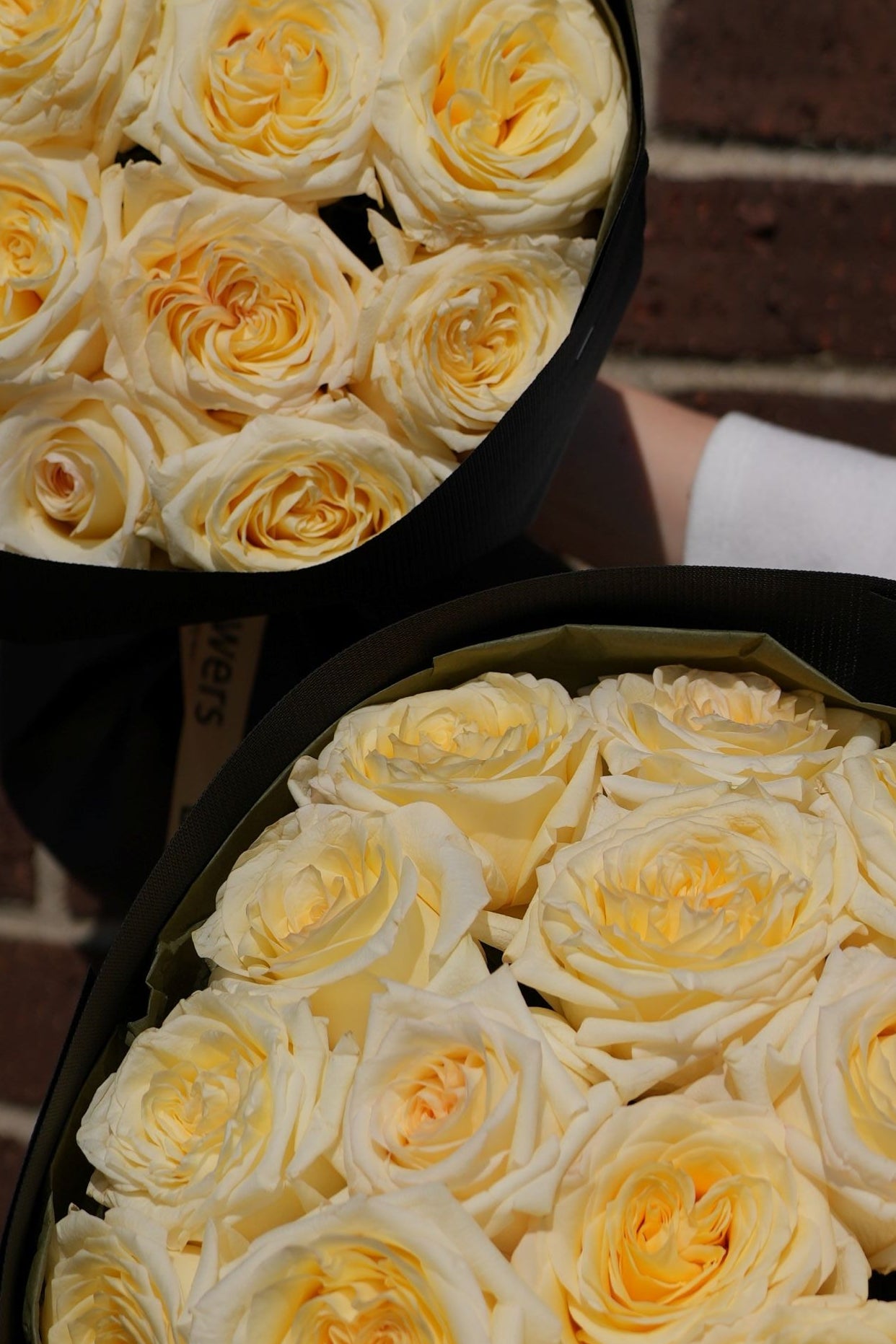 Candlelight Roses