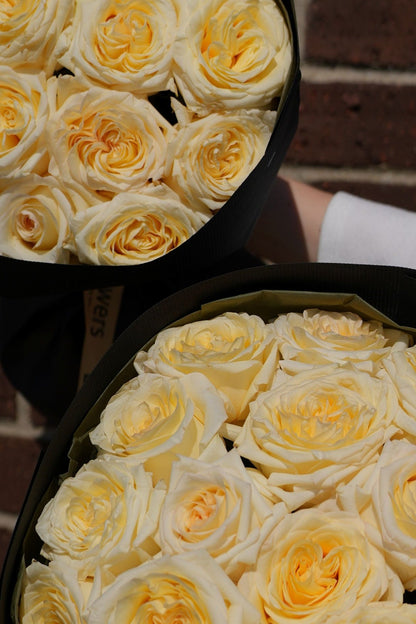 Candlelight Roses