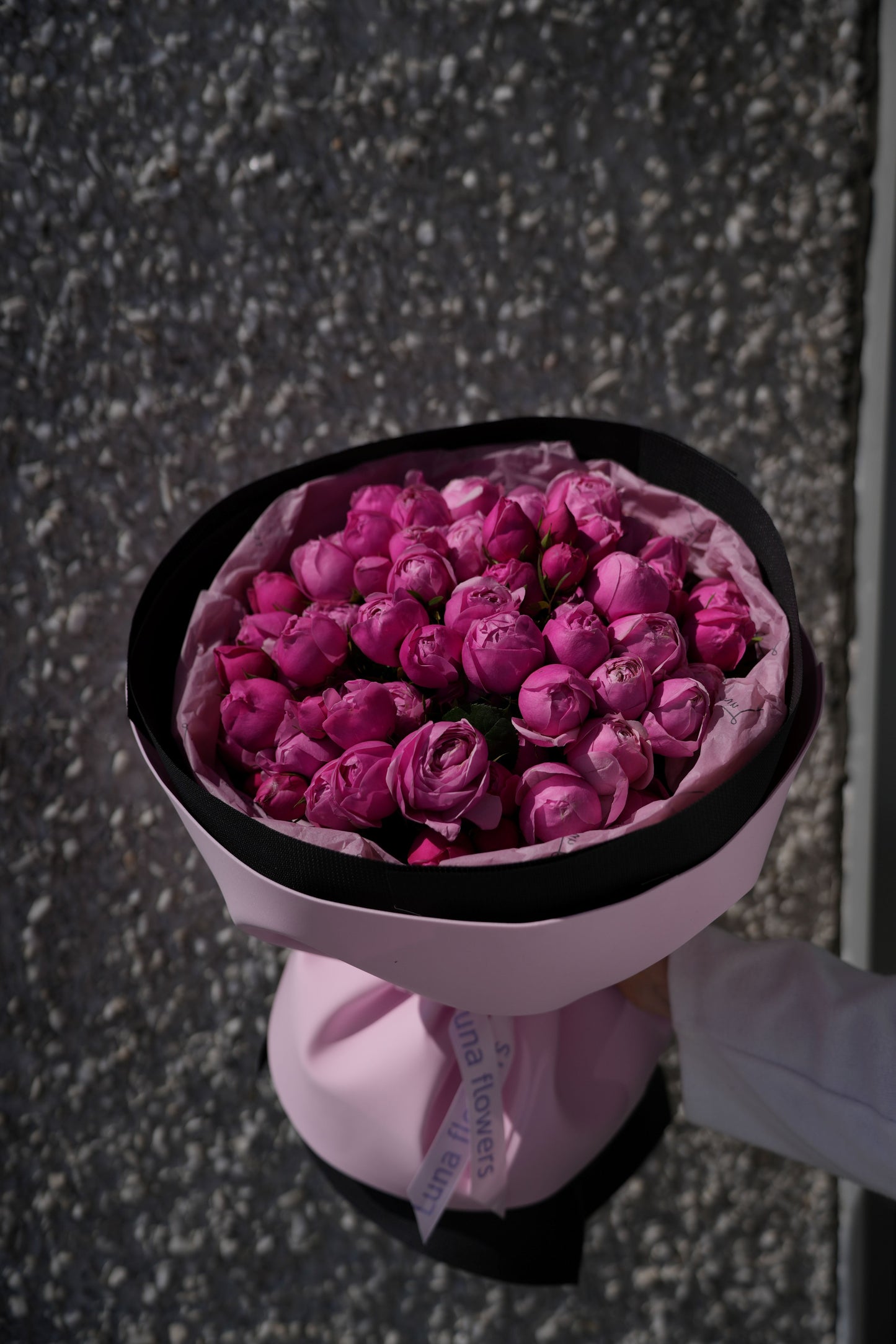 Peony Silva Spray Garden Roses