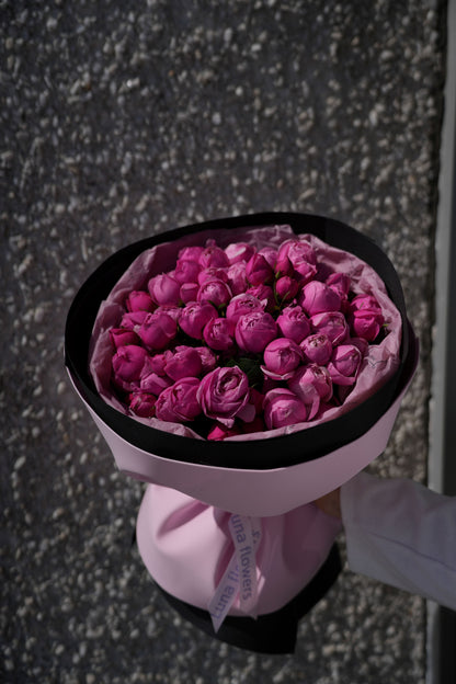 Peony Silva Spray Garden Roses