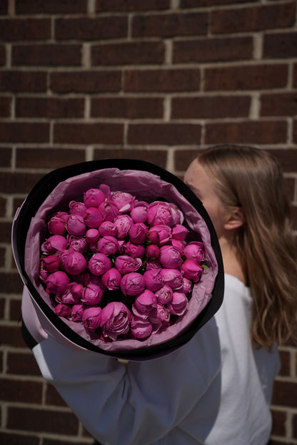 Peony Silva Spray Garden Roses
