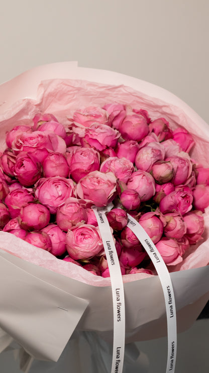 Hot Pink/Red Peony Garden Spray Roses