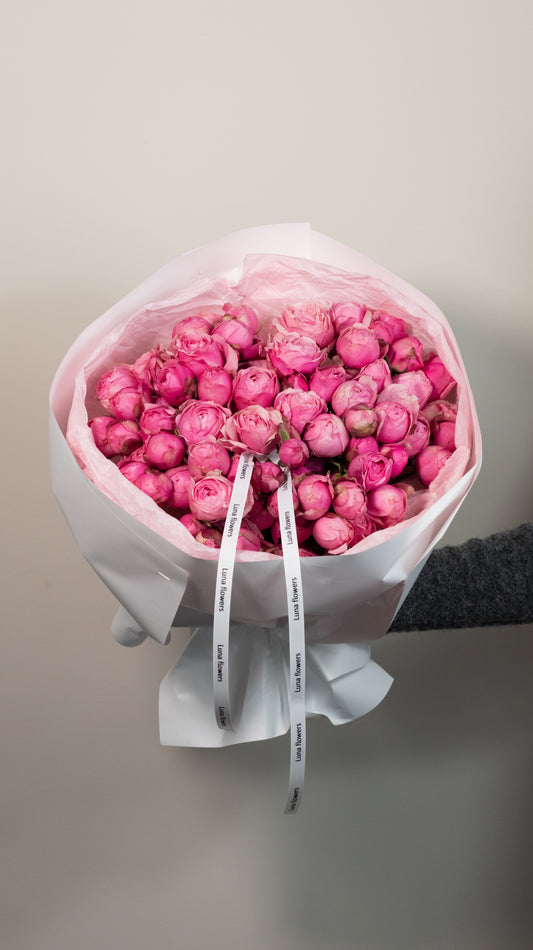 Hot Pink/Red Peony Garden Spray Roses