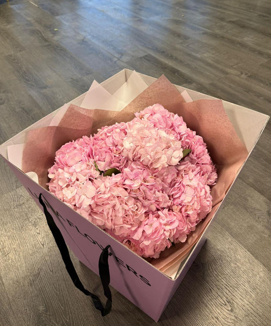 Hydrangeas Bouquet
