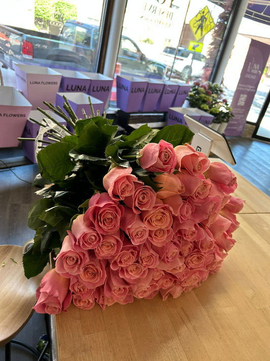 Hermosa Roses
