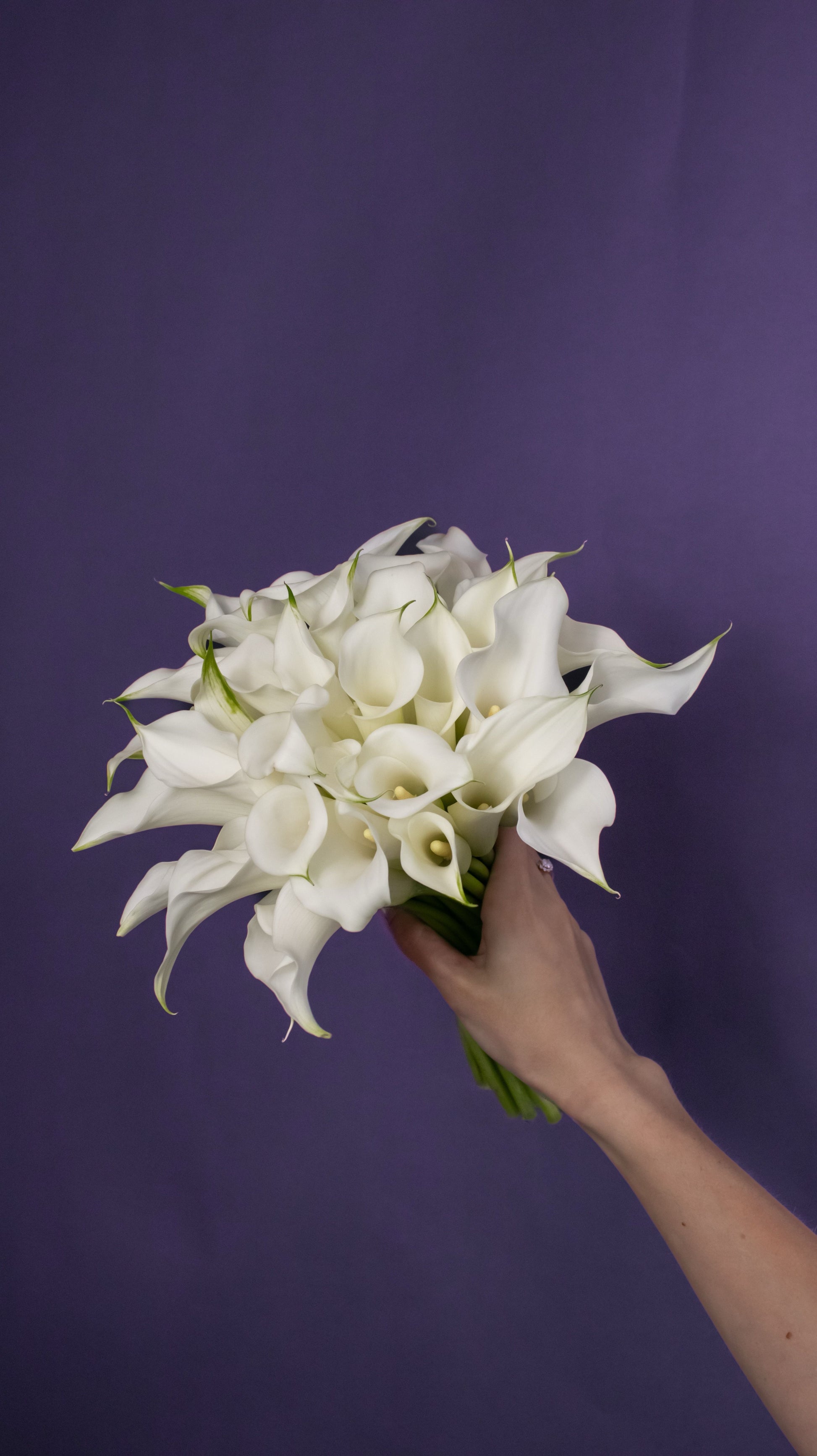 white calla lilies bouquet wedding Minimalist Chic Bridal Arrangement – Luna Flowers Chicago