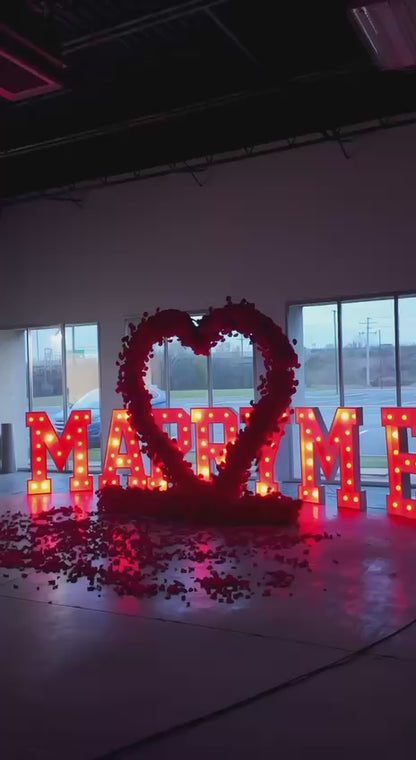 Magical Proposal Moments