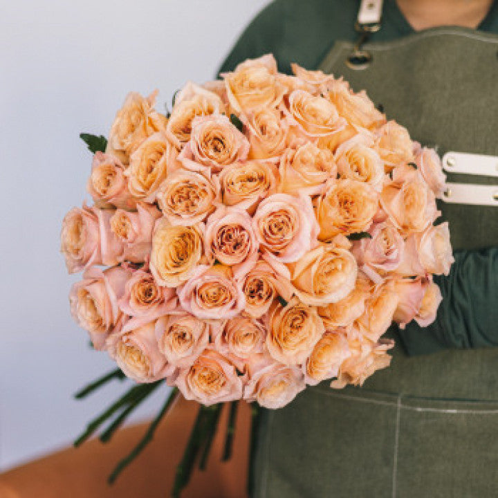 Rosas brillantes