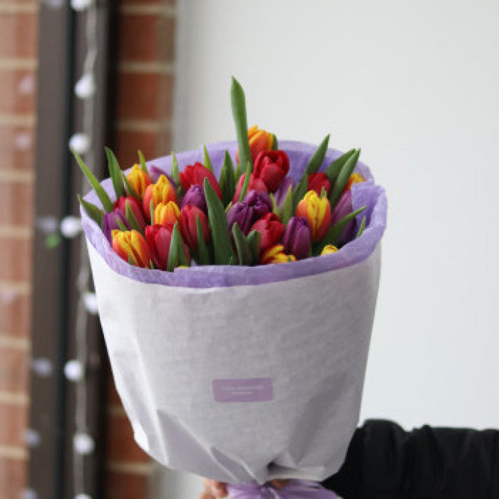 31 tulipanes variados