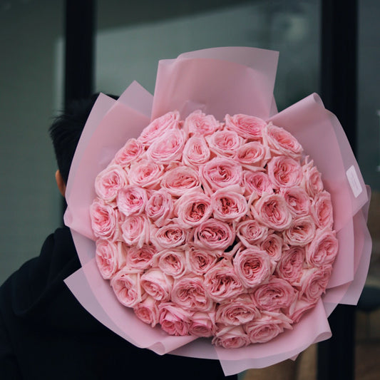 51 Pink O’Hara Roses