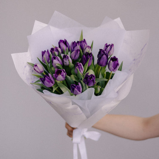 31 Purple Tulips
